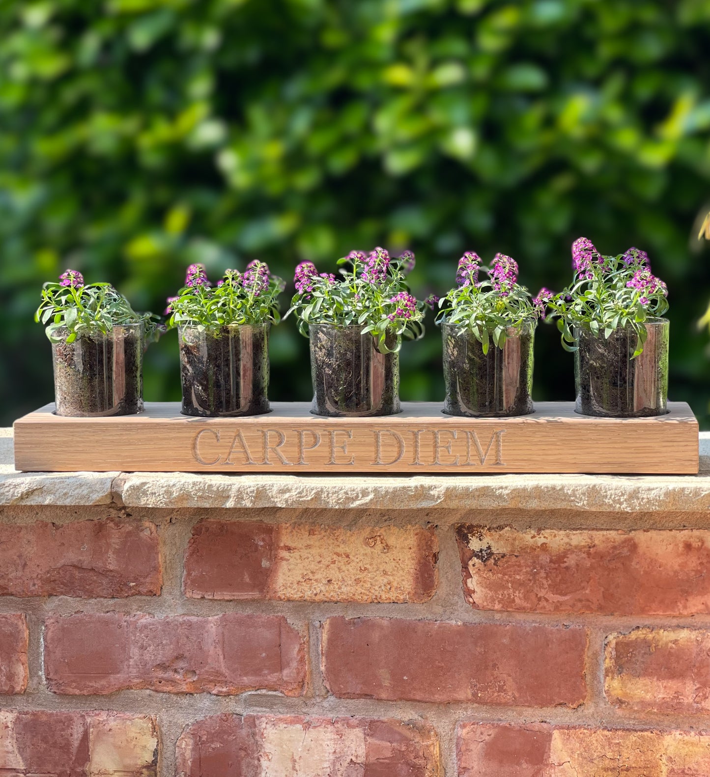 Oak Display Runner