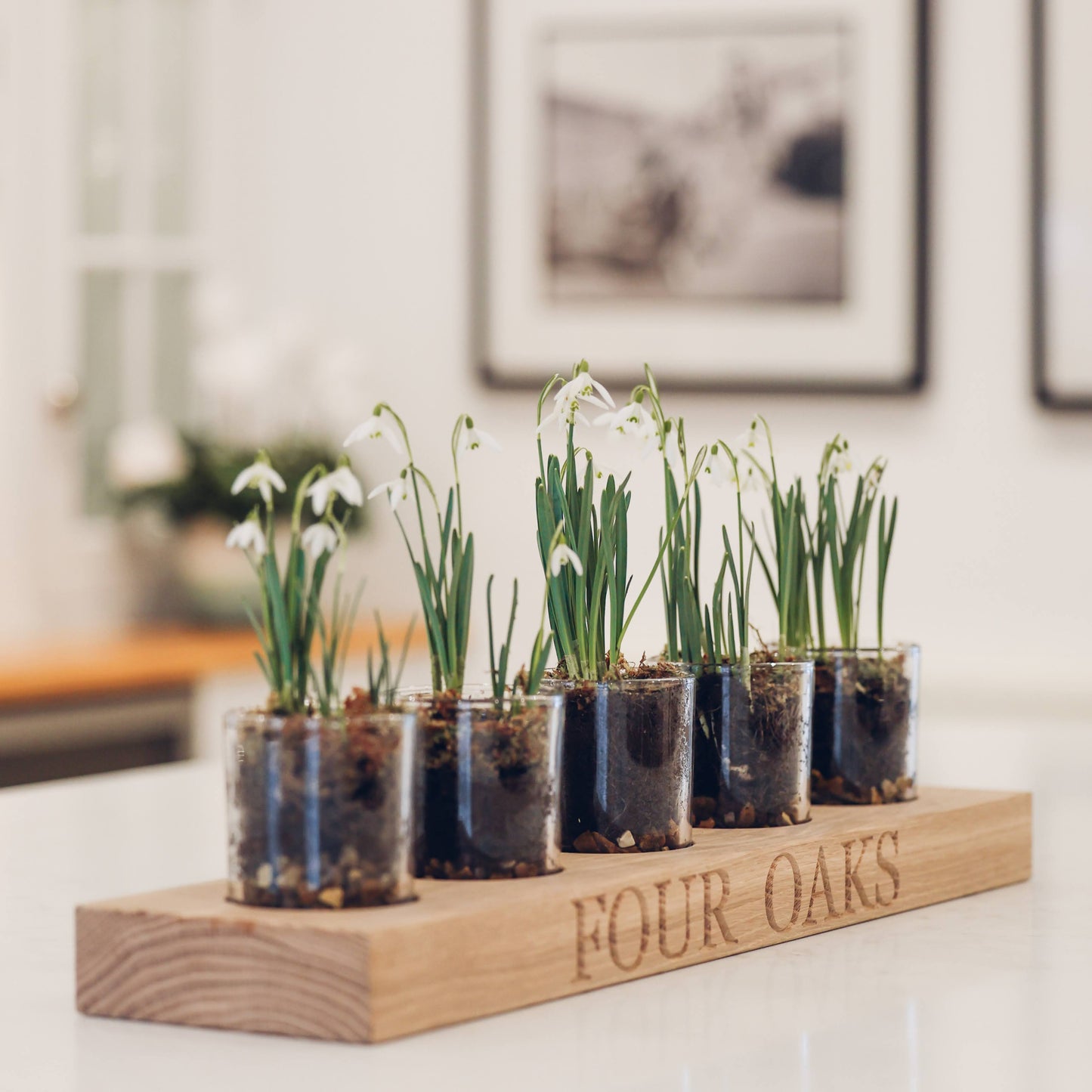 Oak Glass Display Holder