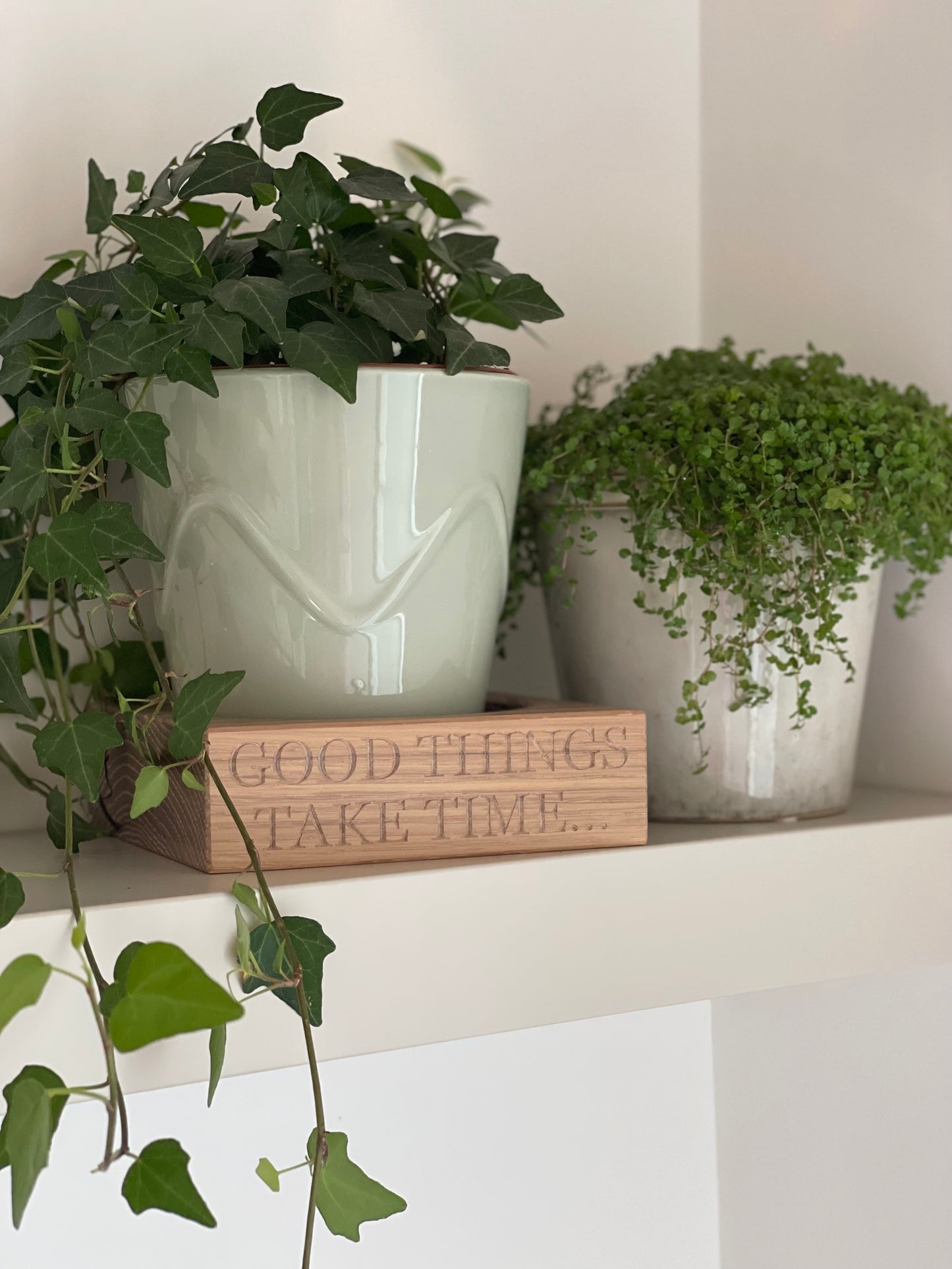 Two potted plants on a shelf with a wooden oak block reading 'Good things take time' in the foreground.  Personalised engraving available