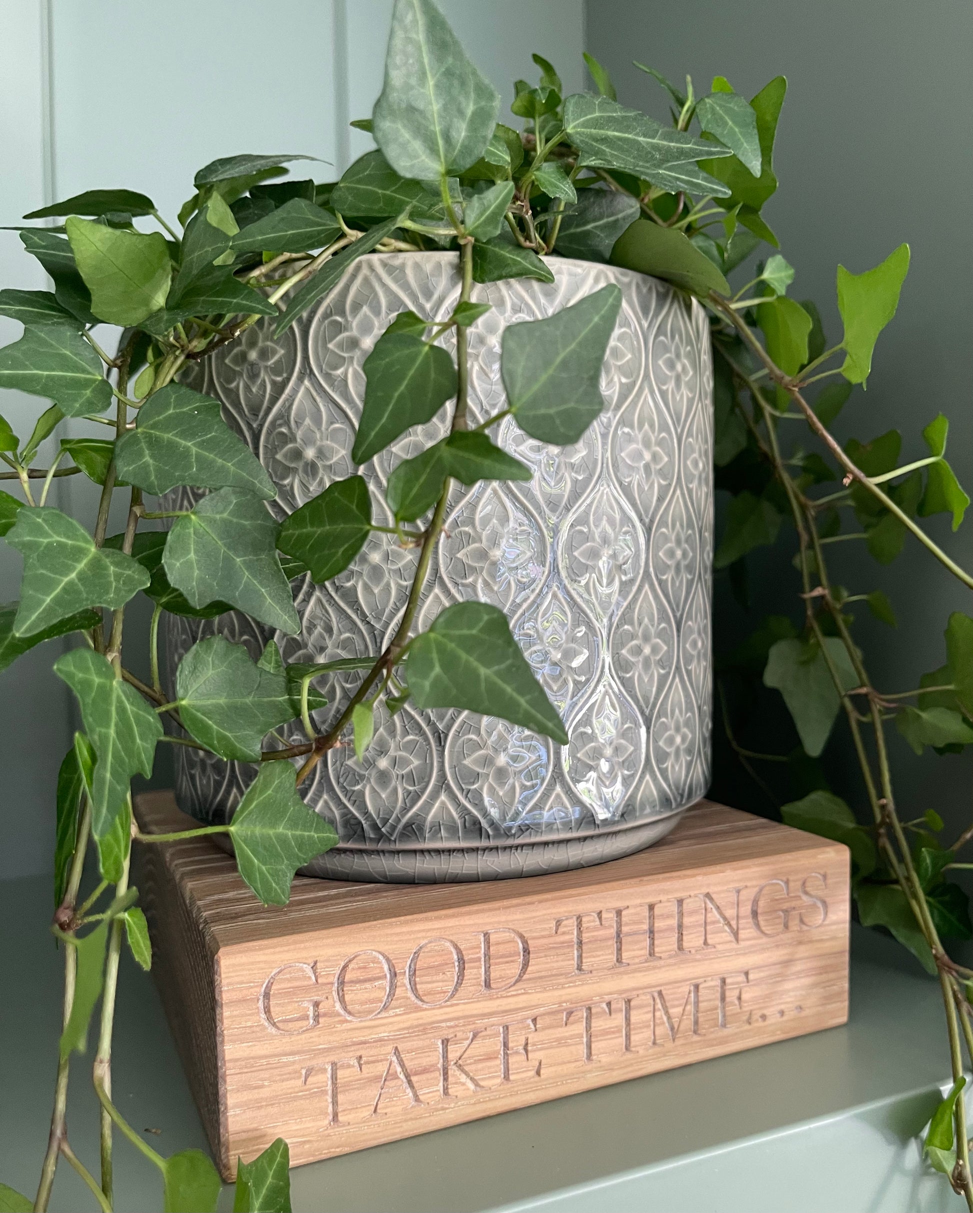 Decorative pot with ivy and on a wooden oak plant pot stand in a block shape.  Good things take time' text on a neutral background 